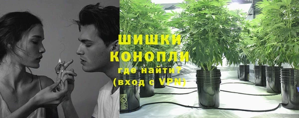 spice Аркадак